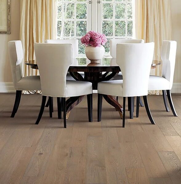 a8783a78e0c7abaf38feae9a0de9b85c46f877f9 e1769539753509 | General Floor